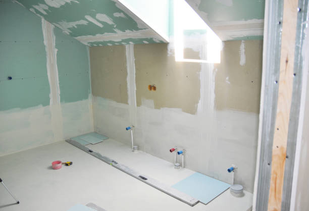 Professional Mold Removal in Jackson, LA